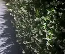 宇座 杏音のプロフィール画像