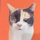 purr IORIのプロフィール画像