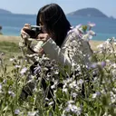 Tanaka Arisaのプロフィール画像