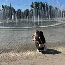 佐藤 さくらのプロフィール画像