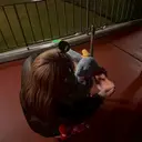 Lila江坂店 松原のプロフィール画像