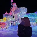 🌺TRU Halu🐬のプロフィール画像