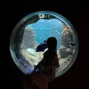 荘司 渚紗のプロフィール画像