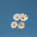 中山 由奈のプロフィール画像