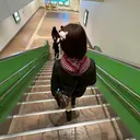 Emerge池袋 東口店　NOEのプロフィール画像