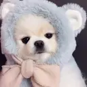 Celeste 福井ネイル Rikoのプロフィール画像