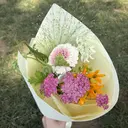 Takano Shizukuのプロフィール画像