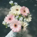 内山 夏希のプロフィール画像