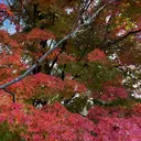 谷田 まいのプロフィール画像