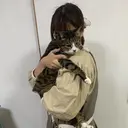 山士家 慈葉のプロフィール画像