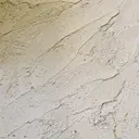 miyahara ioriのプロフィール画像