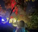 山内 桃香のプロフィール画像