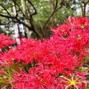 ANGE🪽 松戸店 🫧Nagisaのプロフィール画像