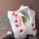 月森 千鶴のプロフィール画像