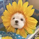 小林 晴子のプロフィール画像