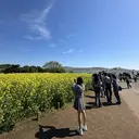 るぽ reposのプロフィール画像