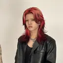 SEIYA/ ハイトーンのプロフィール画像
