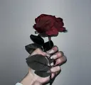 kairi Toyvenailのプロフィール画像