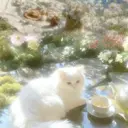 ALBA yuukaのプロフィール画像