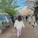 clan鷺沼🌿 かやしたのプロフィール画像