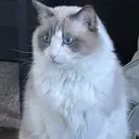 タ ンのプロフィール画像