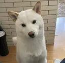 穴井 春香のプロフィール画像