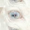 y2k/レイヤー shunのプロフィール画像
