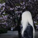 束感まつ毛/LED OLIVIA加藤のプロフィール画像