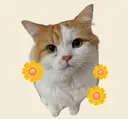M. Harunaのプロフィール画像