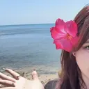 藤野 心晴のプロフィール画像