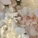 モニター様募集 nonokaのプロフィール画像