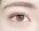 Crescent Eyeのプロフィール画像