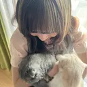 🌷 sakura 🌷のプロフィール画像
