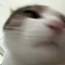 サクラ ☆のプロフィール画像