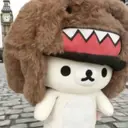 kokoa .のプロフィール画像