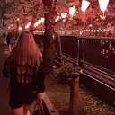 ㅤMADIA Ayakaのプロフィール画像