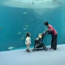 Lily広島 chinamiのプロフィール画像