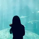 リ イのプロフィール画像