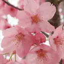 w京橋 MIKIのプロフィール画像