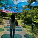 わだ りみのプロフィール画像