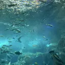 Lily's 🐬岡田のプロフィール画像