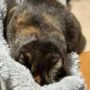 佐藤 綾のプロフィール画像