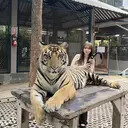 hana ⟡のプロフィール画像