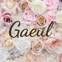 Gaeul カウルのプロフィール画像