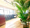 las PAVILIONのプロフィール画像