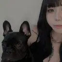 alicetokyo 🦋宮葉🦋のプロフィール画像