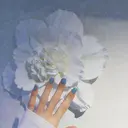 カルフール リル MOEのプロフィール画像