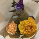 ベスティオーラ aineのプロフィール画像