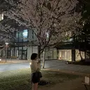 山本 安古のプロフィール画像