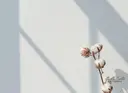 fufula /okamotoのプロフィール画像